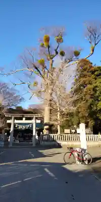 宗我神社(神奈川県)