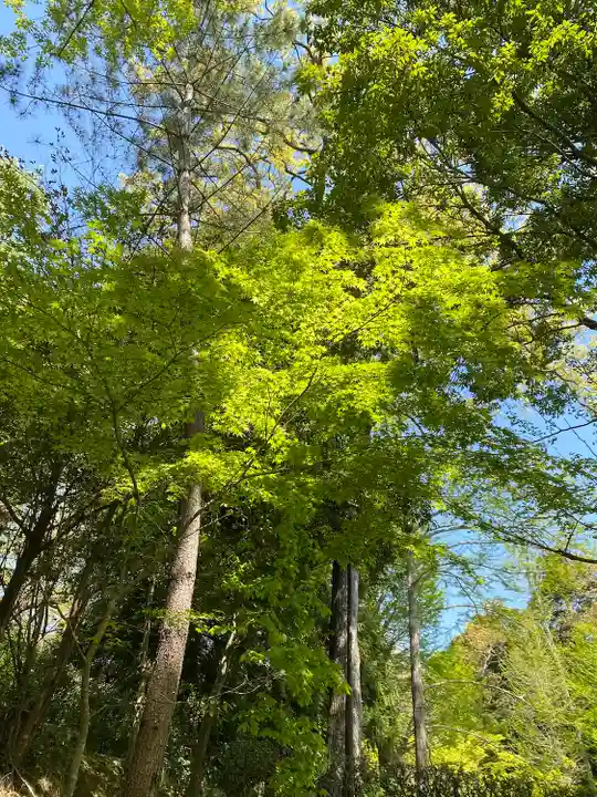 成田山新勝寺の自然