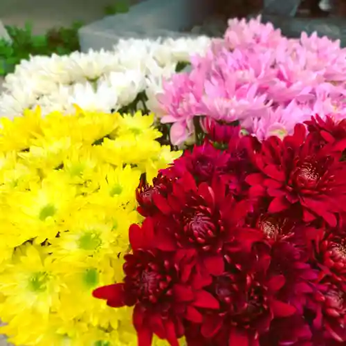 滑川神社 - 仕事と子どもの守り神の自然