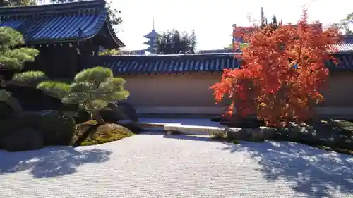 観智院（東寺子院）の庭園