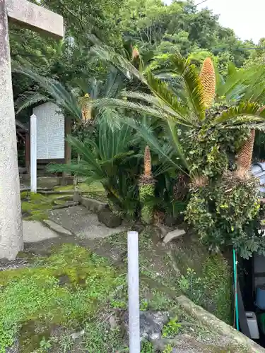 吾平津神社の自然
