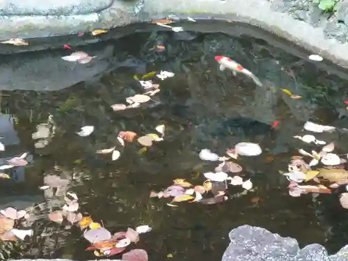 叶神社 (西叶神社)(神奈川県)