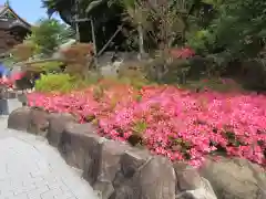 総持寺(大阪府)