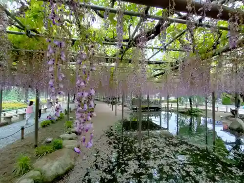 津島神社の周辺