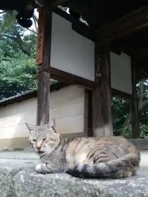 長岳寺(奈良県)