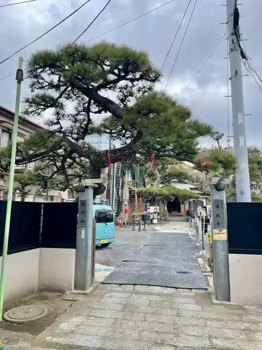 本成寺の{uncategorized: "未分類", other: "その他", undefined: "問題あり", building: "その他建物", grave: "お墓", sacred_gate: "鳥居", guardian: "狛犬", statue: "像", buddha: "仏像", history: "歴史", nature: "自然", garden: "庭園", animal: "動物", pagoda: "塔", temizu: "手水舎", mountain_gate: "山門・神門", sanctuary: "本殿・本堂", subordinate: "末社・摂社", art: "芸術", scenery: "景色", jizo: "地蔵", ema: "絵馬", goshuin: "御朱印", omikuji: "おみくじ", items: "授与品その他", amulet: "お守り", goshuincho: "御朱印帳", eats: "食事", festival: "お祭り", votive_dance: "神楽", shichigosan: "七五三参", wedding: "結婚式", experience: "体験その他", initially: "初詣", around: "周辺", anti_infection: "感染症対策"}