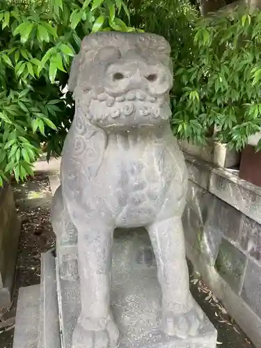 富岡八幡宮の狛犬