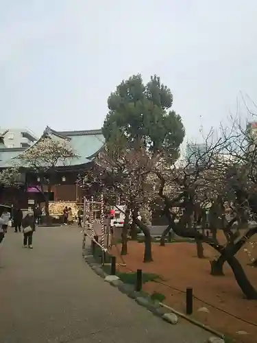 湯島天満宮の庭園