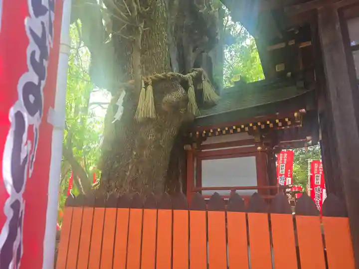 楠珺社(住吉大社末社)(大阪府)