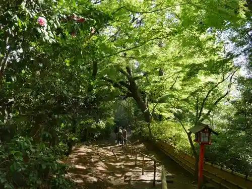 明王院（満願寺別院）の自然