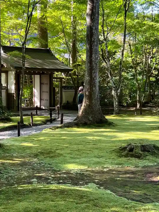 三千院門跡(京都府)