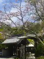 浄光明寺の山門・神門