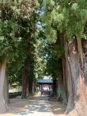 河口浅間神社のその他建物