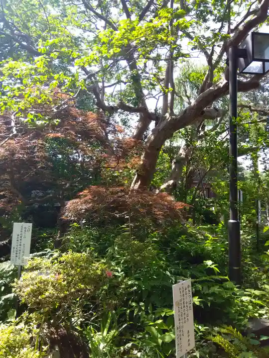 武蔵国分寺(東京都)