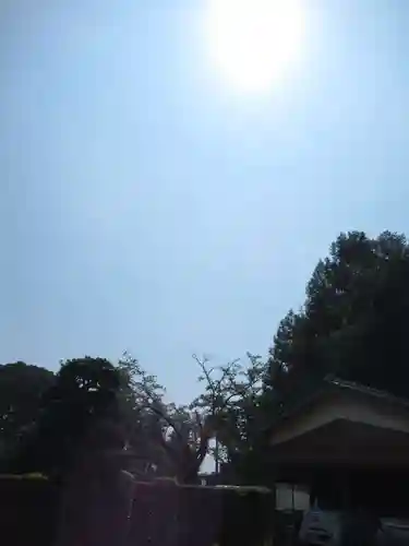 伏木香取神社(茨城県)