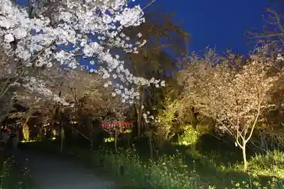 平野神社のその他建物