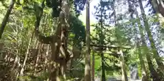 武蔵御嶽神社の鳥居