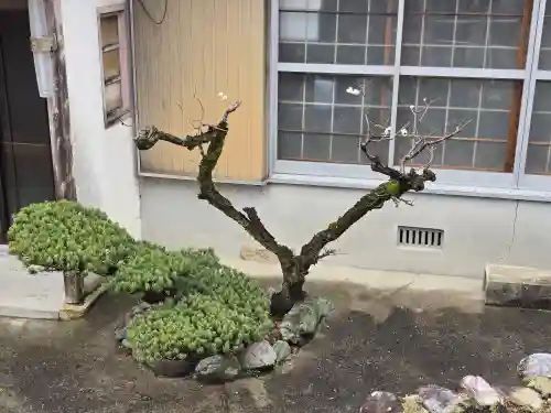 多治速比売神社(大阪府)