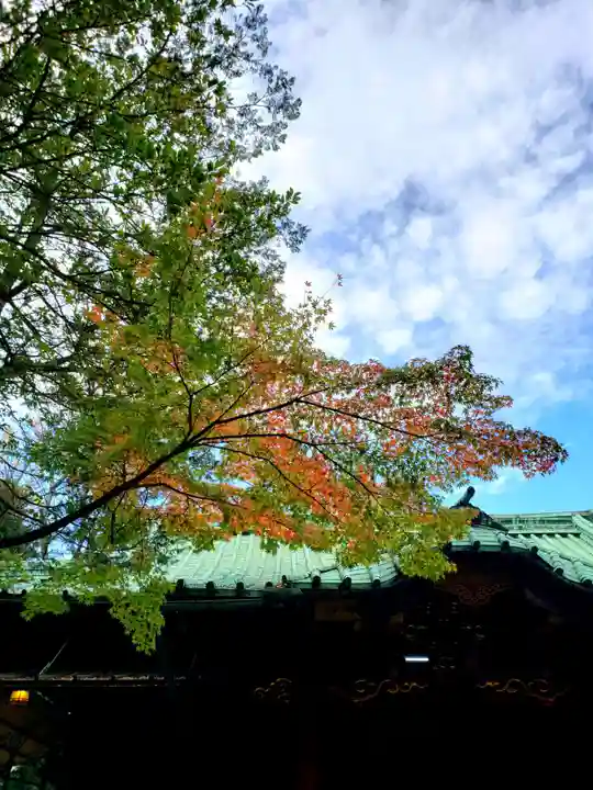 赤坂氷川神社(東京都)
