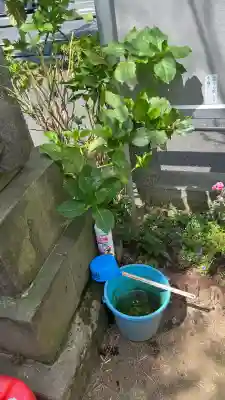 関町南御嶽神社(東京都)