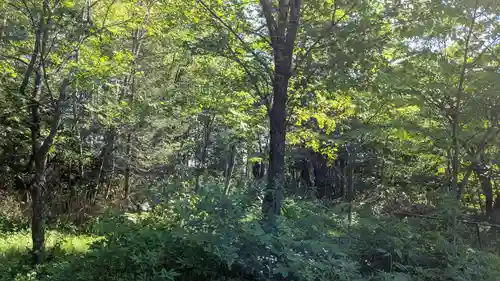 愛別神社の自然