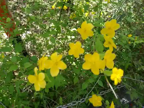 安井金比羅宮の{uncategorized: "未分類", other: "その他", undefined: "問題あり", building: "その他建物", grave: "お墓", sacred_gate: "鳥居", guardian: "狛犬", statue: "像", buddha: "仏像", history: "歴史", nature: "自然", garden: "庭園", animal: "動物", pagoda: "塔", temizu: "手水舎", mountain_gate: "山門・神門", sanctuary: "本殿・本堂", subordinate: "末社・摂社", art: "芸術", scenery: "景色", jizo: "地蔵", ema: "絵馬", goshuin: "御朱印", omikuji: "おみくじ", items: "授与品その他", amulet: "お守り", goshuincho: "御朱印帳", eats: "食事", festival: "お祭り", votive_dance: "神楽", shichigosan: "七五三参", wedding: "結婚式", experience: "体験その他", initially: "初詣", around: "周辺", anti_infection: "感染症対策"}