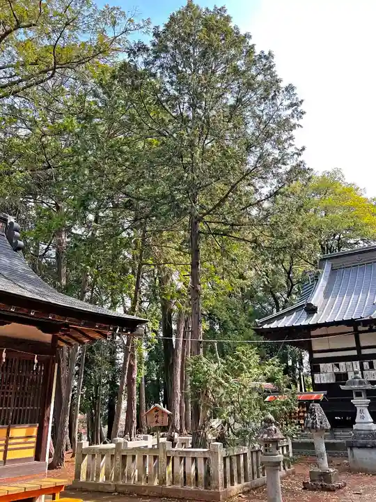 弓削神社の自然