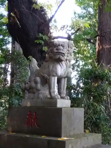 武蔵野神社の狛犬