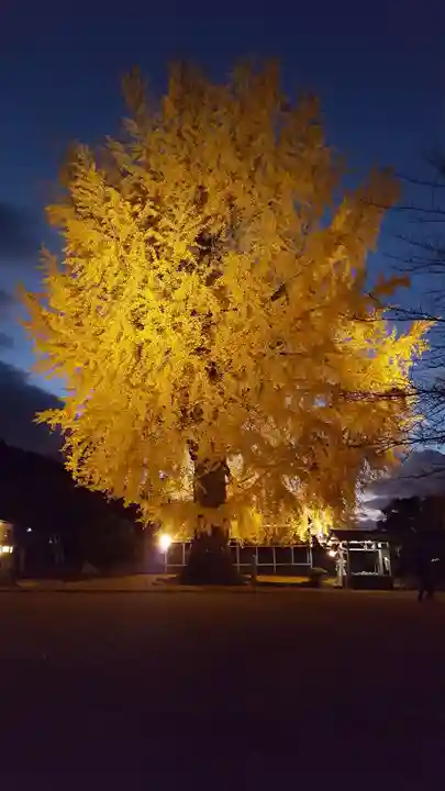 丹生酒殿神社の自然