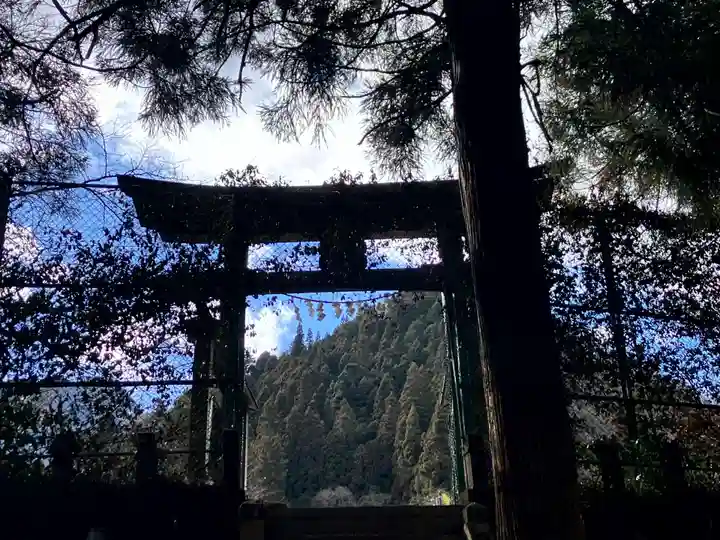 龍頭神社(埼玉県)