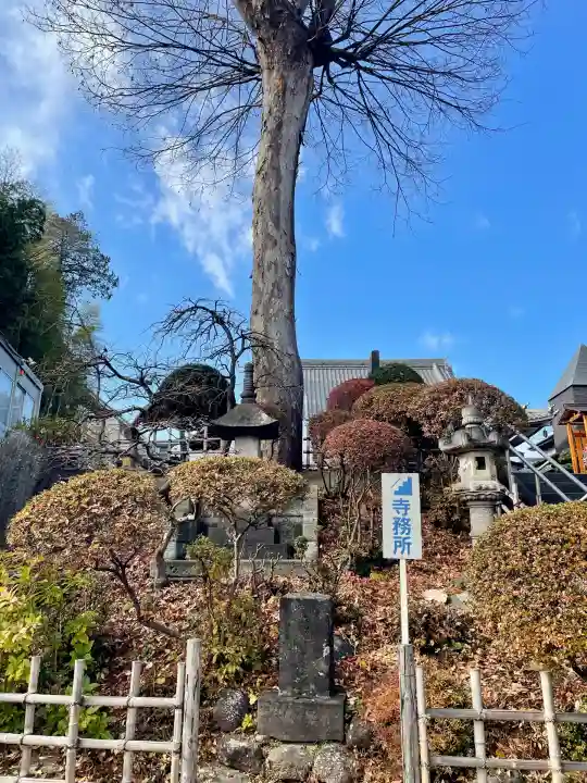 廣源院東福寺(東京都)