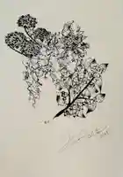 蒼山日菜さんの奉納作品