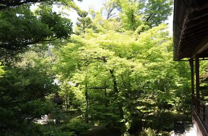 大法院(京都府)