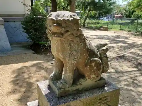 住吉神社の狛犬