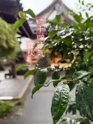 御嶽神社茅萱宮(岐阜県)