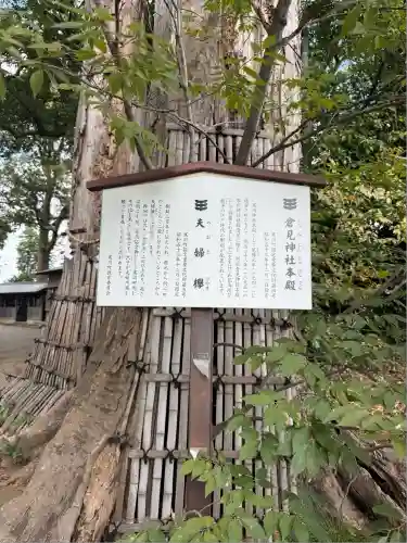 倉見神社(神奈川県)