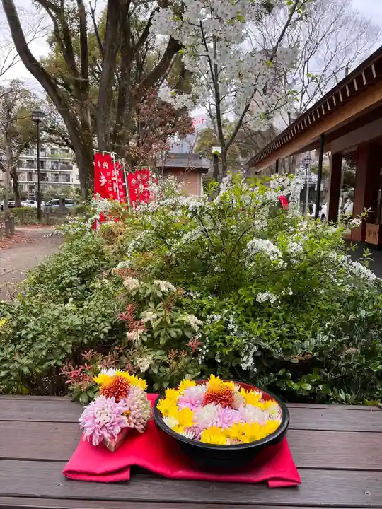 増上寺塔頭 三縁山 宝珠院の手水舎