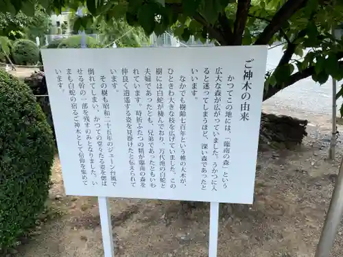 臨南寺(大阪府)