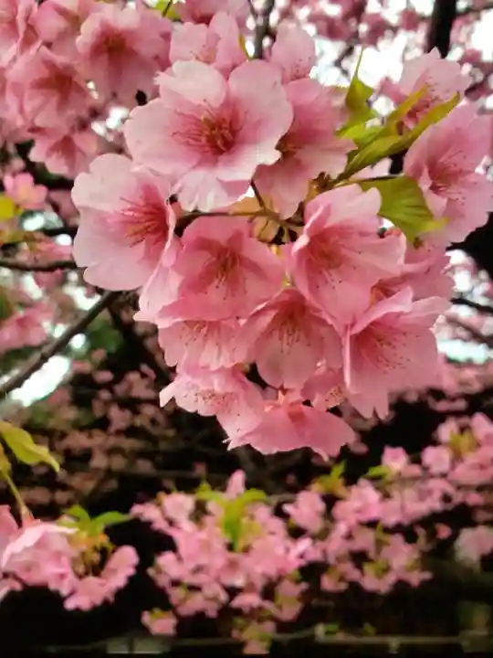 新宿下落合氷川神社(東京都)