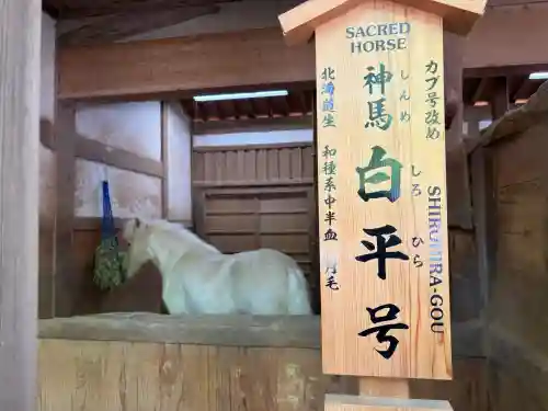 金刀比羅宮の{uncategorized: "未分類", other: "その他", undefined: "問題あり", building: "その他建物", grave: "お墓", sacred_gate: "鳥居", guardian: "狛犬", statue: "像", buddha: "仏像", history: "歴史", nature: "自然", garden: "庭園", animal: "動物", pagoda: "塔", temizu: "手水舎", mountain_gate: "山門・神門", sanctuary: "本殿・本堂", subordinate: "末社・摂社", art: "芸術", scenery: "景色", jizo: "地蔵", ema: "絵馬", goshuin: "御朱印", omikuji: "おみくじ", items: "授与品その他", amulet: "お守り", goshuincho: "御朱印帳", eats: "食事", festival: "お祭り", votive_dance: "神楽", shichigosan: "七五三参", wedding: "結婚式", experience: "体験その他", initially: "初詣", around: "周辺", anti_infection: "感染症対策"}