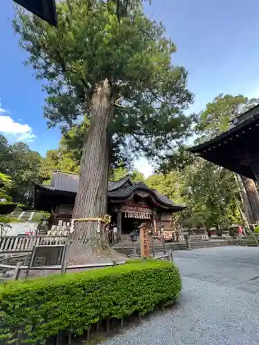 北口本宮冨士浅間神社(山梨県)