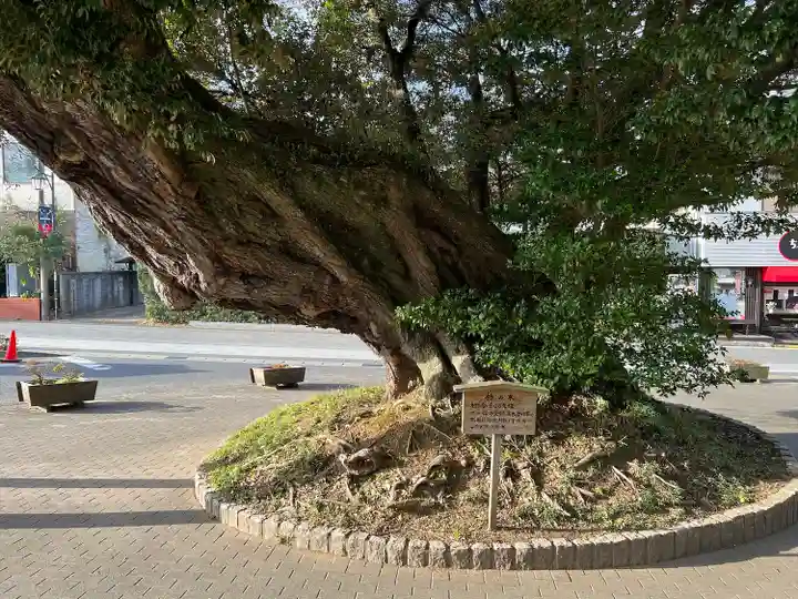 鹿島神宮(茨城県)