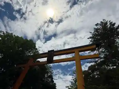 川越氷川神社(埼玉県)