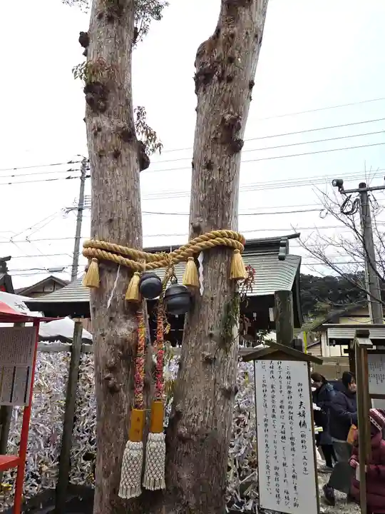 天之御中主神社(鹿児島県)
