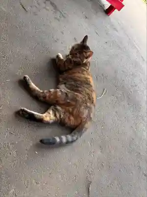 熊野那智神社(宮城県)