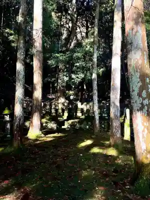 大寧寺(山口県)