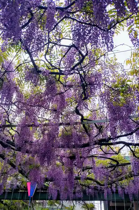 國領神社(東京都)