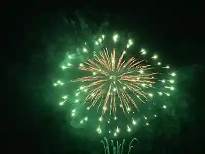 大宮温泉神社(栃木県)