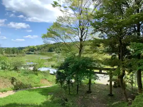 白山神社の鳥居