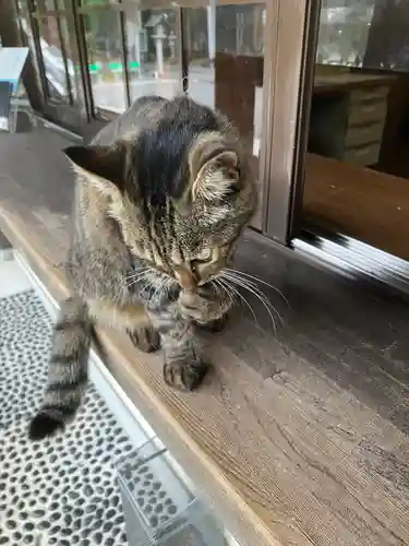 山梨縣護國神社(山梨県)